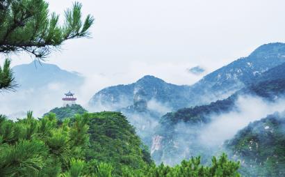 维信诺美国公司开始运营